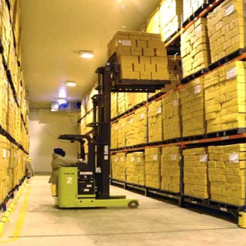 Cold Storage Racks Manufacturers In Delhi